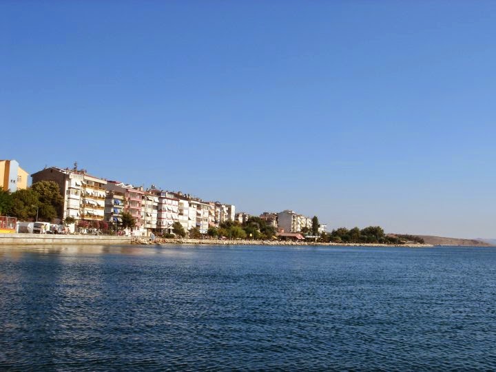 kodoman gayrimenkul